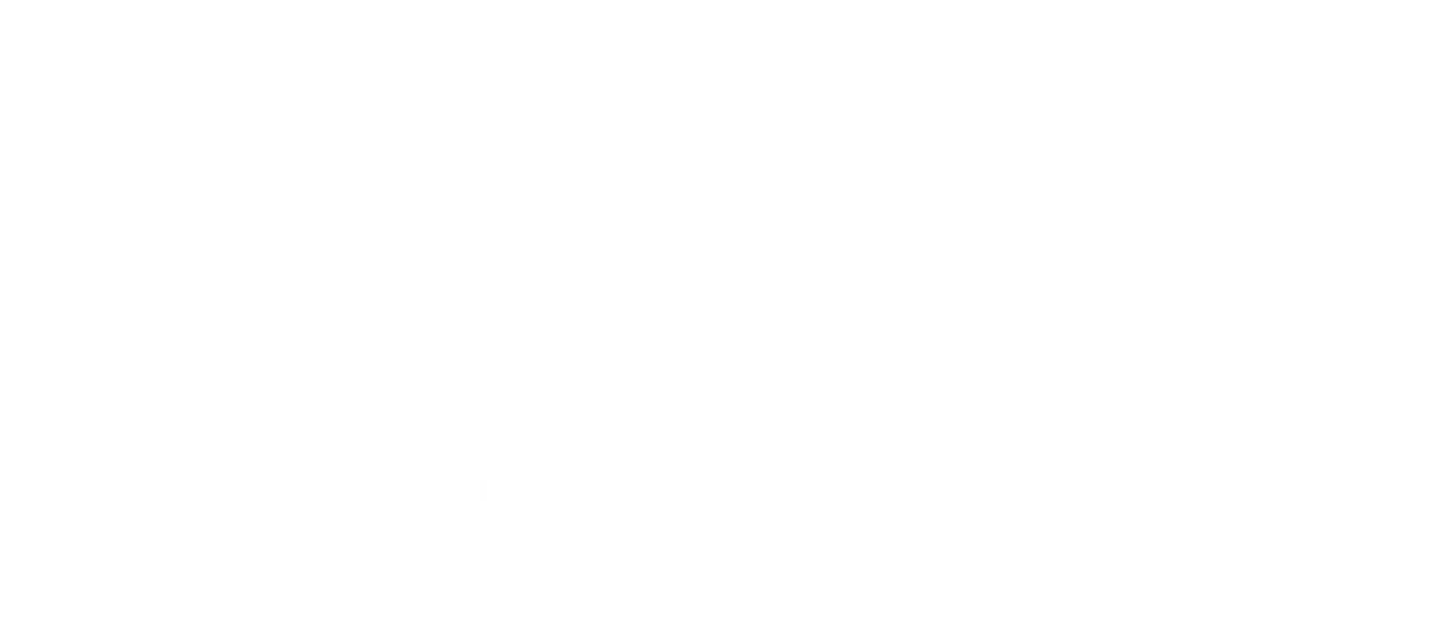 The Luxury Loo